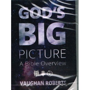 DVD - God's Big Picture